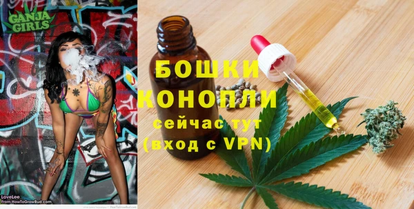 гидра Нефтегорск