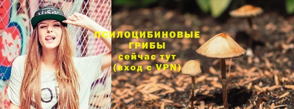 MDMA Premium VHQ Бежецк