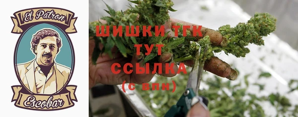mdma Новозыбков