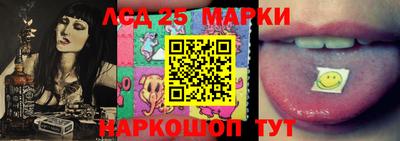 индика Моздок