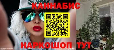 индика Моздок