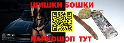 индика Моздок