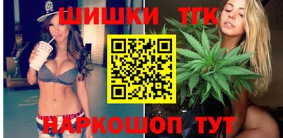 индика Моздок