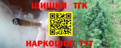 индика Моздок
