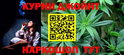 индика Моздок