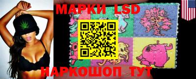 индика Моздок