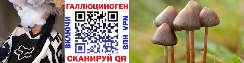 Псилоцибиновые грибы Magic Shrooms  где продают   Великий Новгород 