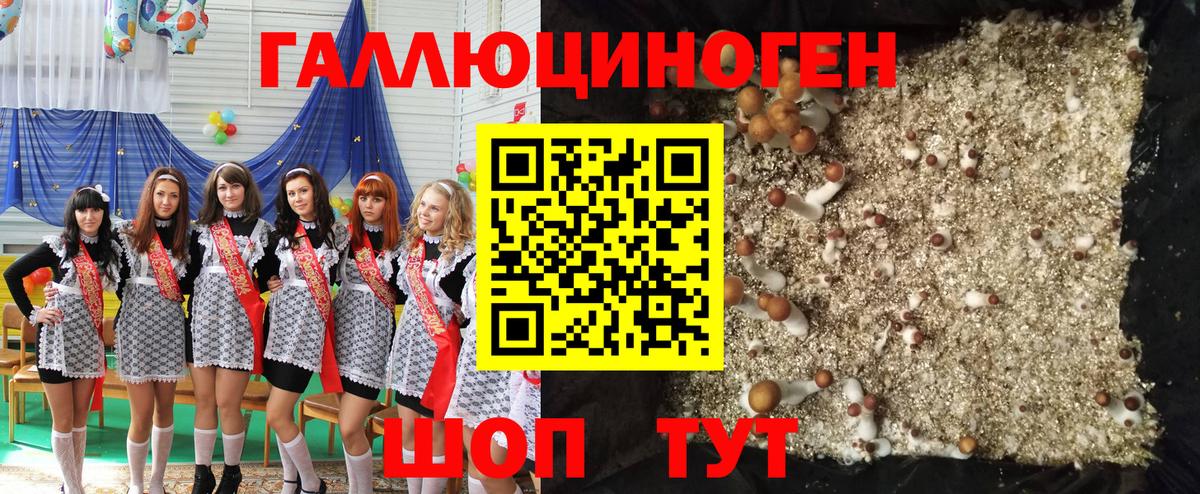 наркота  Вход с VPN  Великий Новгород  Галлюциногенные грибы ЛСД 